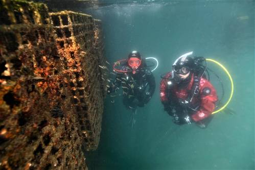 (Photo: AD Ports Group)