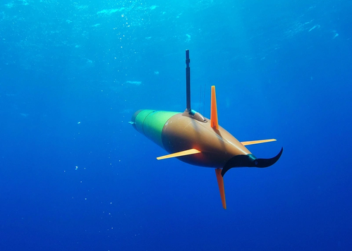 Photo: Schmidt Ocean Institute