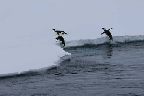 Photo: Scotty Lewis