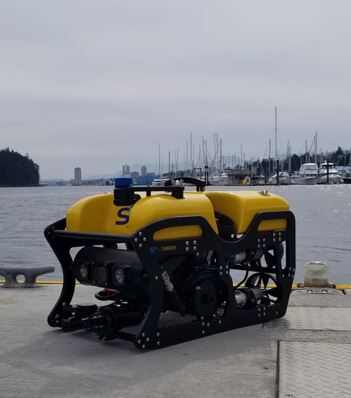 Photo: Seamor Marine