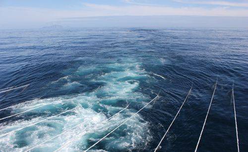 (File photo: Shearwater Geoservices)