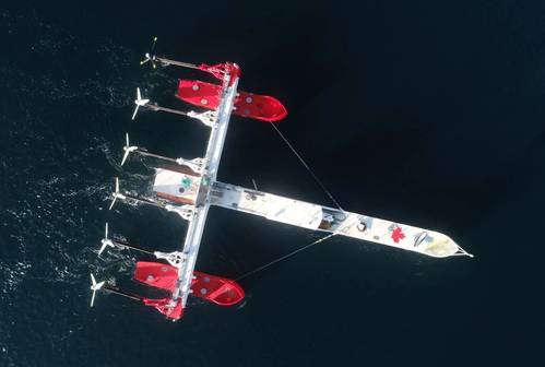 Photo by Sustainable Marine