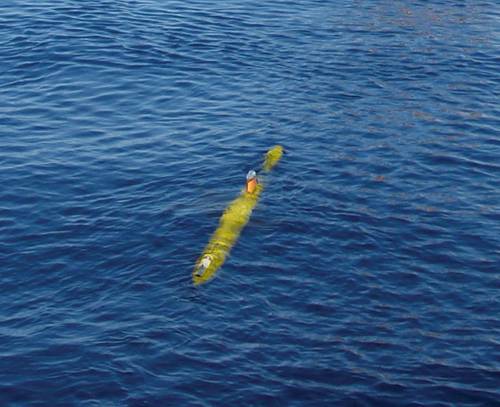 Photo: Teledyne Gavia