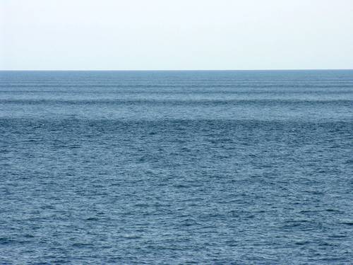 Photo: University of Miami