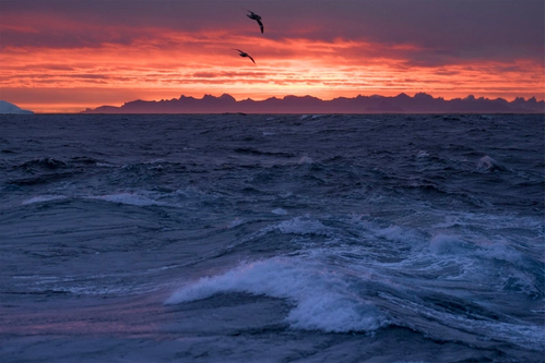 Photo: Woods Hole Oceanographic Institution 