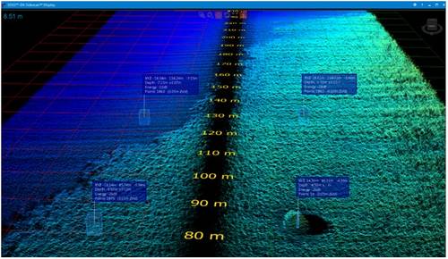 Ping DSP 3D Sidescan Data File Showing Seagrass Bed. (Image: BioSonics