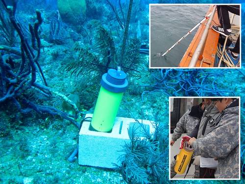 SIO's pinger on bottom in Caymans, acoustic receiver is used from boat (bottom) with remote hydrophone (top)  (Photo: JW Fishers)