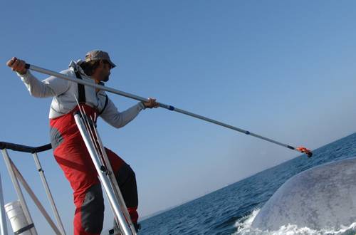 Placing a tag: Photo credit USN