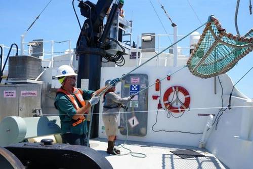 Professional mariners deploy equipment used for shark research on NOAA Ship Oregon II. (NOAA Marine and Aviation Operations/ENS Justin Weeks)