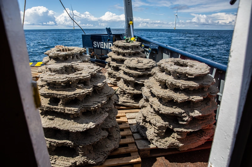 The reefs are about one cubic meter big and vary in width and weight to best imitate natural habitats and weigh up to half a ton. Credit: Ørsted