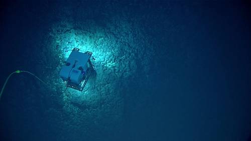 The remotely operated vehicle, Deep Discoverer, imaging the seafloor off American Samoa during an expedition in 2017. (Image credit: NOAA OER)