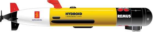 The REMUS 100 a compact light-weight Autonomous Underwater Vehicle.