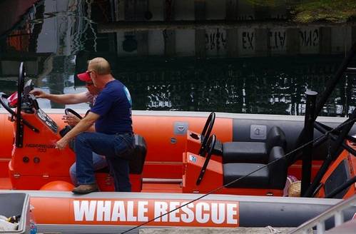 To the rescue!: Photo courtesy of CWRT