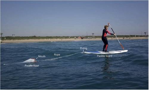 Researchers developed a net to collect samples through a paddle surfboard. (Photo: Anna Sanchez-Vidal / University of Barcelona)