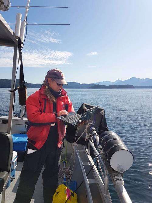 Rhonda Reidy preparing the AZFP for prey mapping just moments after tagging a whale. (photo credit: Jessica Qualley).