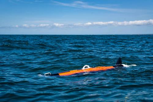The Riptide UUV-12. Photo: BAE Systems