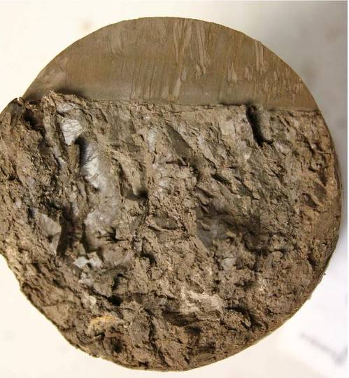 Core samples from Dogger Bank will be donated to the National Geological Repository