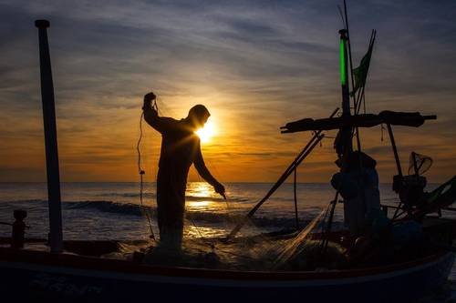 © SANCHAI / Adobe Stock