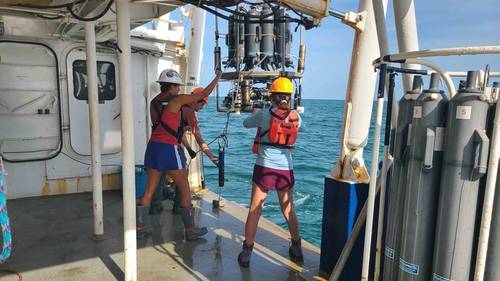 Scientists retrieve the CTD (conductivity, temperature, depth) sensor package after profiling dissolved oxygen at a station on the Shelfwide Hypoxia Cruise. (Image credit: Courtesy of Cassandra Glaspie/LSU)  