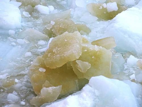 When sea-ice algae proliferate they turn the sea ice green. This darkening of the ice reduces its ability to reflect sunlight, amplifying sea-ice melting in summer. (Photo: Rob Massom)