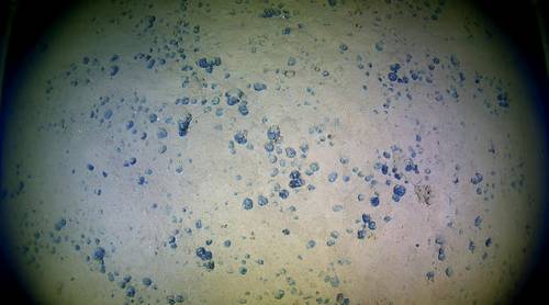 Source: NOAA