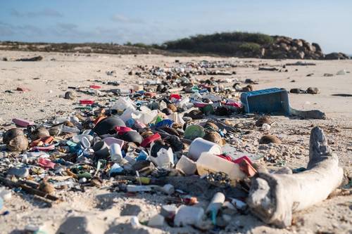 Source: Australian Marine Conservation Society