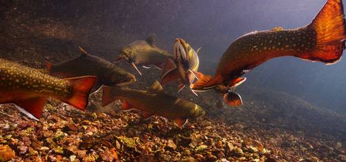 Source: Inspired Planet