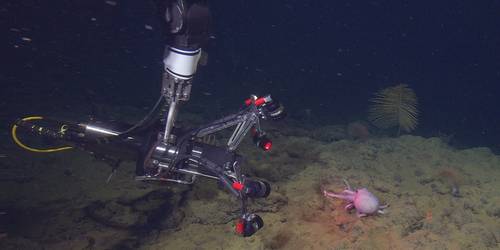 Source: MBARI