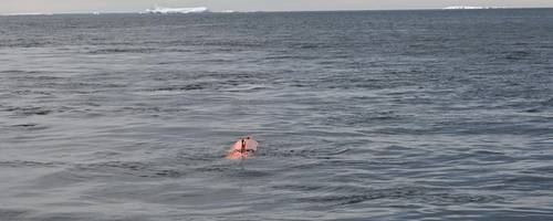 Source: University of Gothenburg