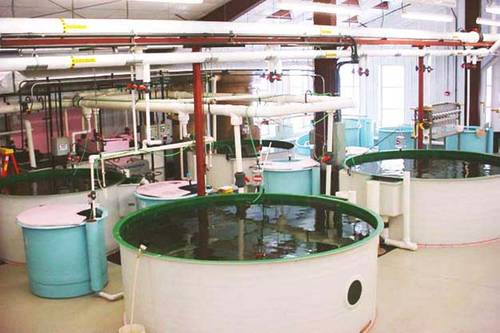 UWSP’s Northern Aquaculture Demonstration Facility (Photo: University of Wisconsin Stevens Point)