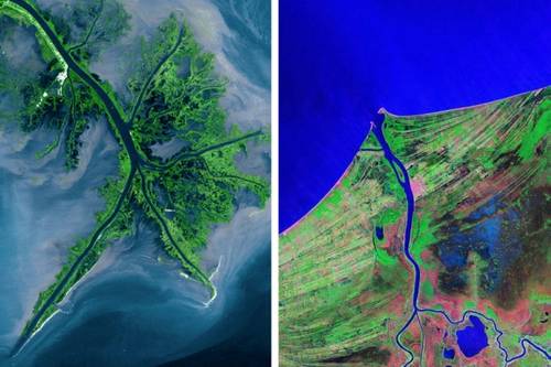 A variety of deltas: the Mississippi birdfoot delta (left) and Mexico's Grijalva cuspate delta (right). (Image: NASA Landsat)