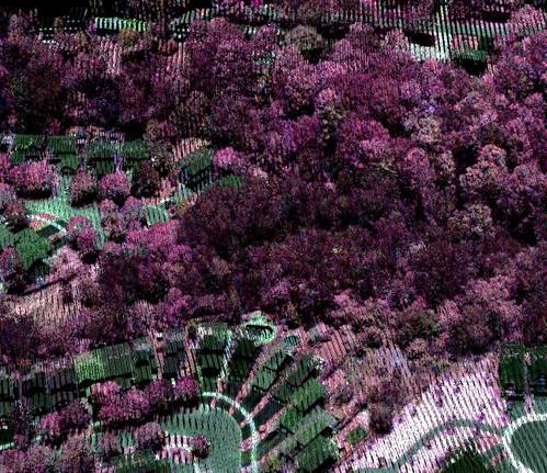 Vegetation discrimination using the new Optech Titan multispectral lidar sensor