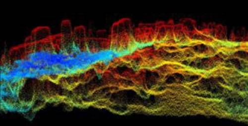 3D visual of HR SDB point cloud, Lighthouse Reef, Belize. Image courtesy EOMAP