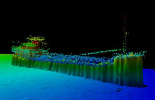 HIPS & SIPS Water column data: Image credit CARIS