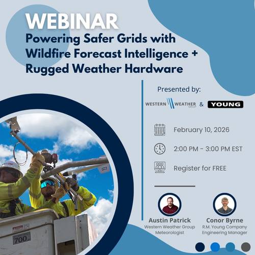 © R.M. Young Company