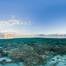 © Adobe Stock/The Ocean Agency