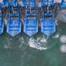 (Credit: Screenshot/Video by Eco Wave Power)