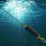 TFI Marine SeaSpring. © TFI Marine