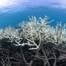 © The Ocean Agency / Adobe Stock