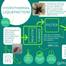 The process of hydrothermal liquefaction, a method of converting seaweed into useful products including fertilisers, biofuels, and stock chemicals. © Amy Pilsbury, PhycoMExUK