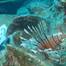 Screenshot from video of the historic shipwreck find. Image Credit Akdeniz University.