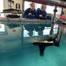 © Teledyne Marine/David Evans and Associates
