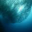 © underocean / Adobe Stock