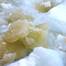 When sea-ice algae proliferate they turn the sea ice green. This darkening of the ice reduces its ability to reflect sunlight, amplifying sea-ice melting in summer. (Photo: Rob Massom)