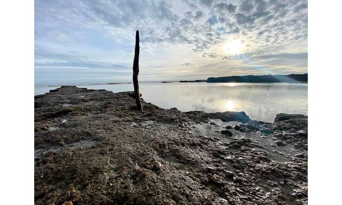 British sewage contaminates waterways and the oceans. Credit: Adobe Stock/cheekylorns