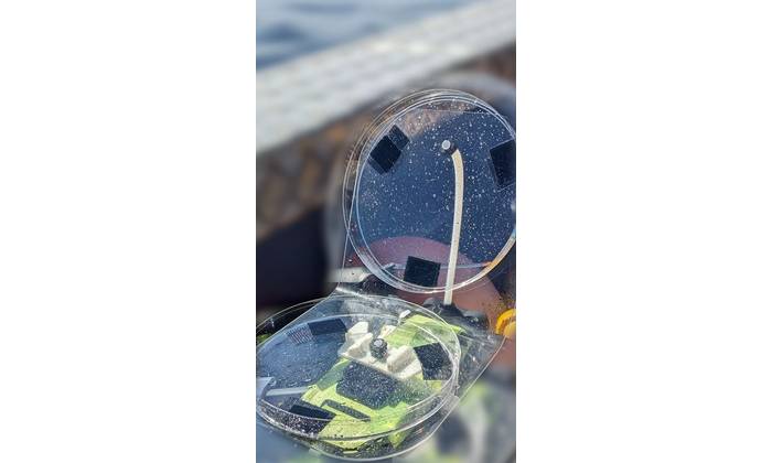 Dish with droplets of blow mounted on a small drone. (Photo by Amy Warren,
NEAq/WHOI, NMFS/NOAA Permit #21371)