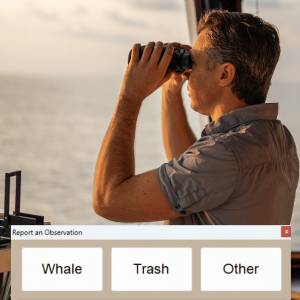 FarSounder has announced the release of a new citizen science feature in its latest SonaSoft™ software update, introducing the ability for users to report whale sightings and floating trash/debris. Credit: FarSounder