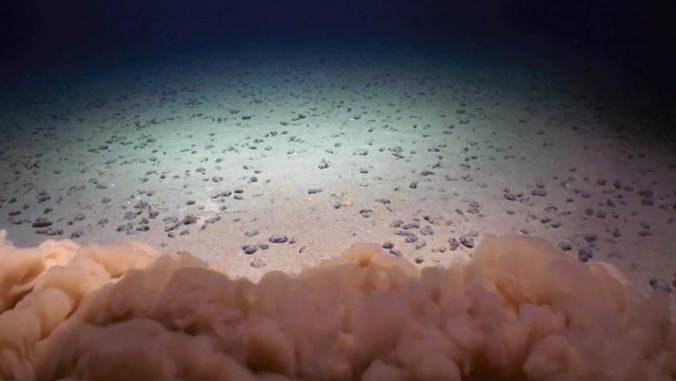Nodules on abyssal seafloor in CCZ & mud cloud from an ROV touching down. (Photo credit: UH/NOAA Deep CCZ)