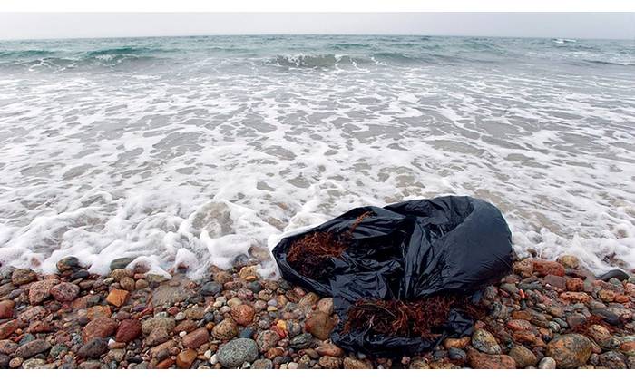 Plastic waste is ubiquitous in the global environment. A new report highlights plastic pollution as a grave and growing danger to health (Tom Kleindinst © Woods Hole Oceanographic Institution)