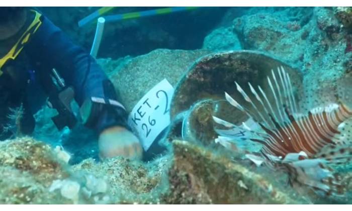 Screenshot from video of the historic shipwreck find. Image Credit Akdeniz University.